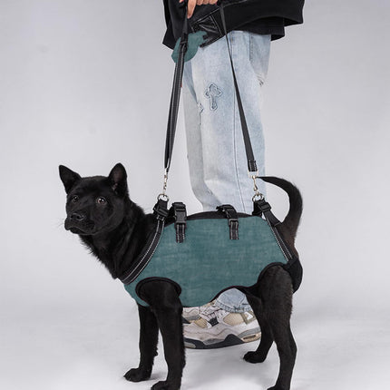 Adjustable Dog Harness Soft Reflective for Small Medium Dogs Walking Training