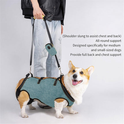 Adjustable Dog Harness Soft Reflective for Small Medium Dogs Walking Training