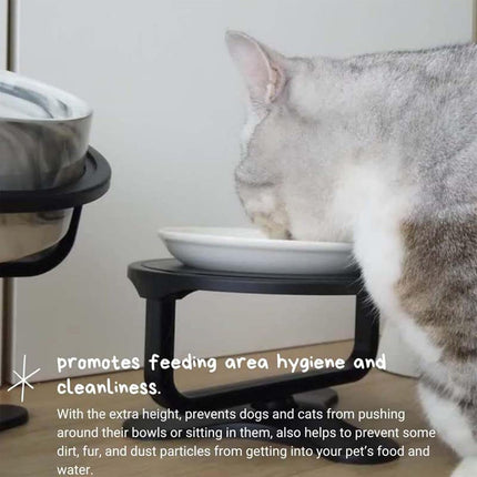 Adjustable Pet Bowl Stand 3 Heights 0-20 Tilt Elevated Feeder for Dogs Cats