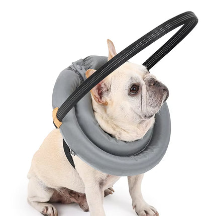 Blind Dog Harness Guiding Device Halo Anti Collision Ring Protective Pet Support