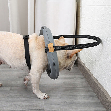Blind Dog Harness Guiding Device Halo Anti Collision Ring Protective Pet Support