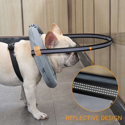 Blind Dog Harness Guiding Device Halo Anti Collision Ring Protective Pet Support