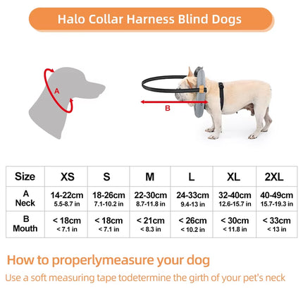 Blind Dog Harness Guiding Device Halo Anti Collision Ring Protective Pet Support