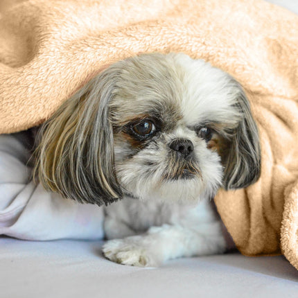 Blanket Air Conditioning Blanket Nap Blanket Sofa Cover Soft Throw for Bed Couch