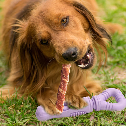Dog Snack Stick Chew Toy Holder Slow Feeder Teething Interactive Pet Dental Play