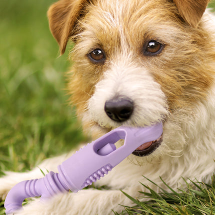 Dog Snack Stick Chew Toy Holder Slow Feeder Teething Interactive Pet Dental Play