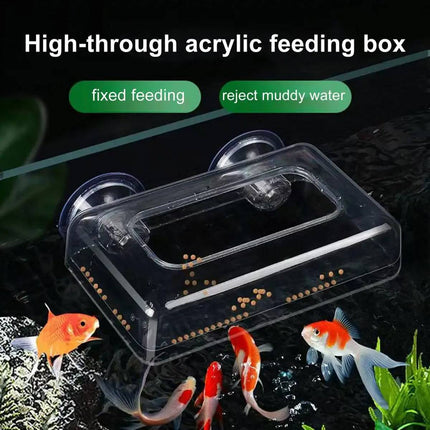 Acrylic Aquarium Fixed Feeding Ring Suction Mount