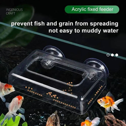Acrylic Aquarium Fixed Feeding Ring Suction Mount