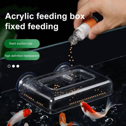 Acrylic Aquarium Fixed Feeding Ring Suction Mount