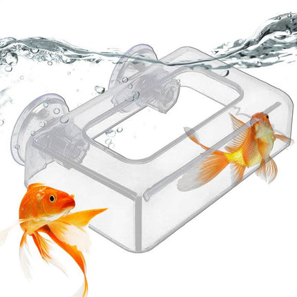 Acrylic Aquarium Fixed Feeding Ring Suction Mount