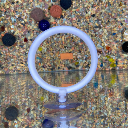Aquarium Fish Training Ring 2 Pack with Suction Cup Feeding Hoop for Betta Fish