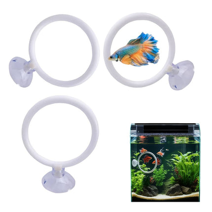 Aquarium Fish Training Ring 2 Pack with Suction Cup Feeding Hoop for Betta Fish