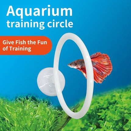 Aquarium Fish Training Ring 2 Pack with Suction Cup Feeding Hoop for Betta Fish