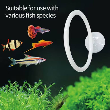 Aquarium Fish Training Ring 2 Pack with Suction Cup Feeding Hoop for Betta Fish
