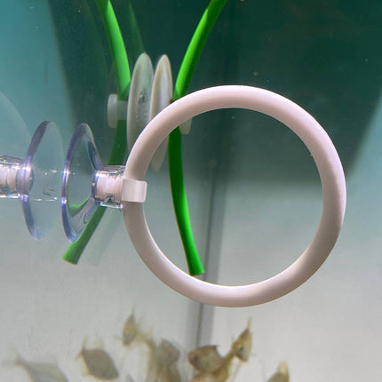 Aquarium Fish Training Ring 2 Pack with Suction Cup Feeding Hoop for Betta Fish