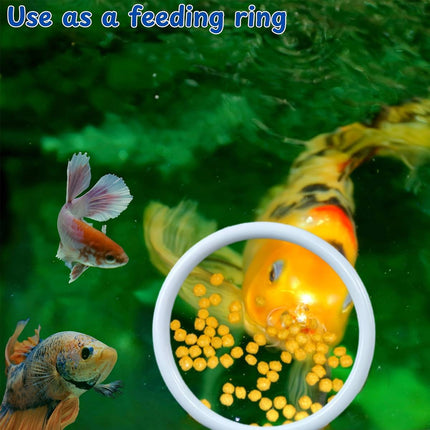Aquarium Fish Training Ring 2 Pack with Suction Cup Feeding Hoop for Betta Fish