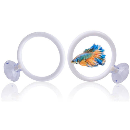 Aquarium Fish Training Ring 2 Pack with Suction Cup Feeding Hoop for Betta Fish