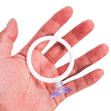 Aquarium Fish Training Ring 2 Pack with Suction Cup Feeding Hoop for Betta Fish