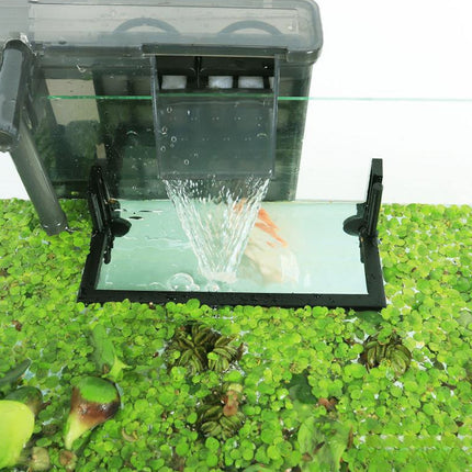 Fish Tank Floating Feeding Ring Aquarium Food Feeder Anti-Waste Fish Feeding Tool