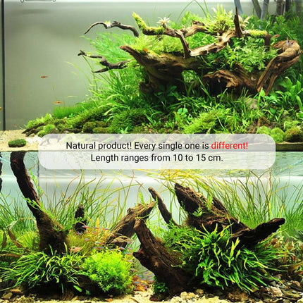Natural Aquarium Driftwood Porous Shrimp Wood Fish Tank Aquascape Decoration