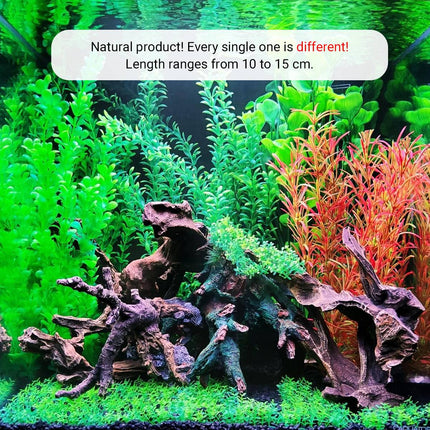 Natural Aquarium Driftwood Porous Shrimp Wood Fish Tank Aquascape Decoration