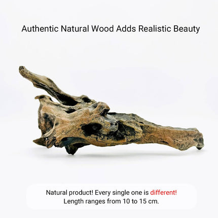 Natural Aquarium Driftwood Porous Shrimp Wood Fish Tank Aquascape Decoration