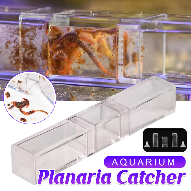 Aquarium Planaria Worm Catcher 17.5x3x3cm Transparent for Fish Tank Cleaning Use
