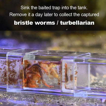 Aquarium Planaria Worm Catcher 17.5x3x3cm Transparent for Fish Tank Cleaning Use