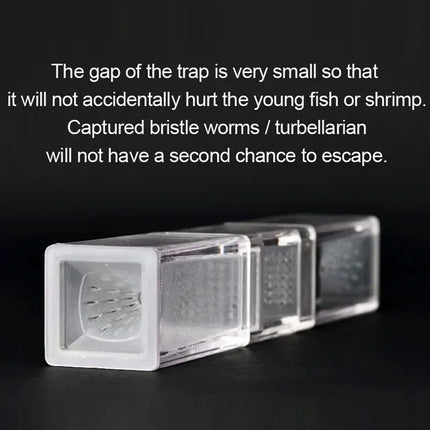 Aquarium Planaria Worm Catcher 17.5x3x3cm Transparent for Fish Tank Cleaning Use