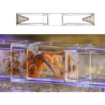 Aquarium Planaria Worm Catcher 17.5x3x3cm Transparent for Fish Tank Cleaning Use