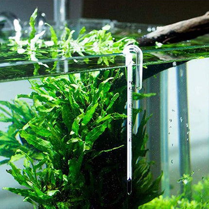 Hang On Aquarium Glass Thermometer 10mm Rim
