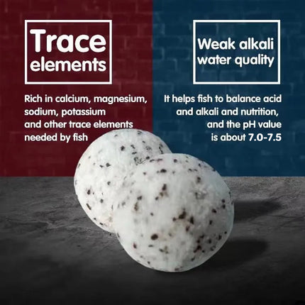 Hollow Quartz Ball Aquarium Filter Media Bio Filtration Water Purifier Fish