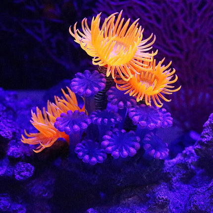 Fish Tank Decoration Soft Coral Simulation Marine Anemone Aquarium Landscape