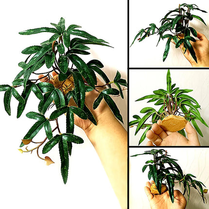 Artificial Plants Green Simulation Foliage for Pet Habitat Decoration Ornament