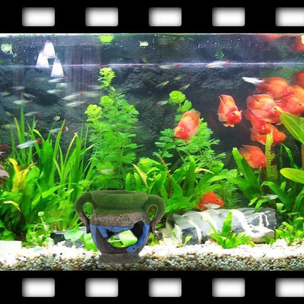 Fish Tank Decoration Moss Vase Shabby Style Flower Pot Aquarium Ornament Decor