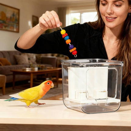 Automatic Clear Bird Feeder No Spill Seed Station