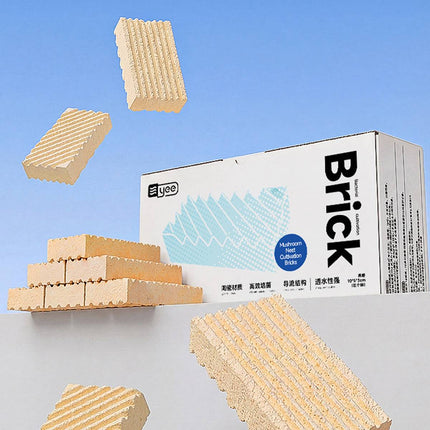 Aquarium Bacteria House Ceramic Filter Media 5 Pack Nitrifying Bricks