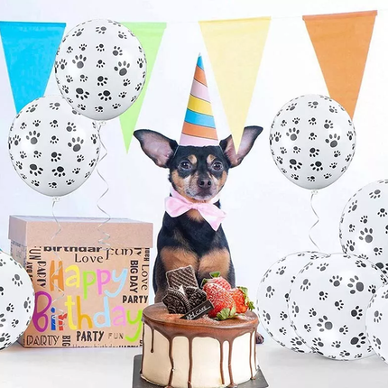 12pcs Cow Print or Paw Print Balloons White Latex Party Decorations 12 Inch