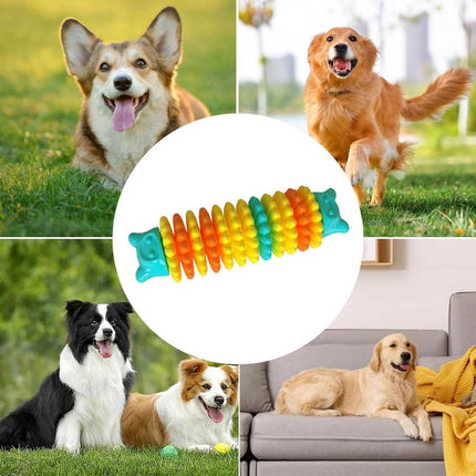 Bear Head Dog Chew Toys for Teething and Fun Caterpillar Pet Toys for Dogs