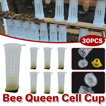 30pcs Bee Protective Covers Multi Functional King Cage Bee Bite Protector Shield