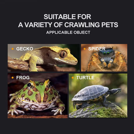 Reptile Breeding Box Model Pet Habitat Box for Crawling Animals Insect Home