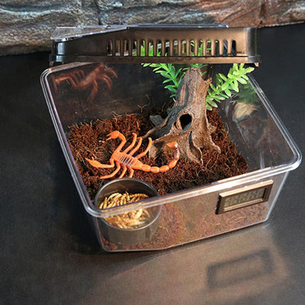 Reptile Breeding Box Model Pet Habitat Box for Crawling Animals Insect Home