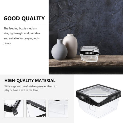 Reptile Breeding Box Model Pet Habitat Box for Crawling Animals Insect Home