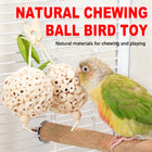 Parrot Chewing Ball Boredom Toy For Pet Bird Cage Playtime Mental Stimulation