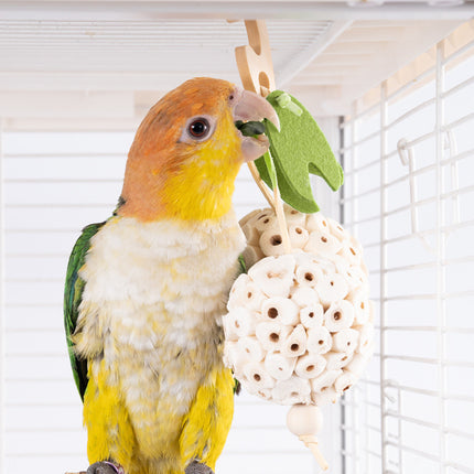 Parrot Chewing Ball Boredom Toy For Pet Bird Cage Playtime Mental Stimulation