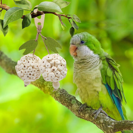 Parrot Chewing Ball Boredom Toy For Pet Bird Cage Playtime Mental Stimulation