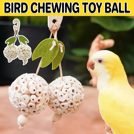 Parrot Chewing Ball Boredom Toy For Pet Bird Cage Playtime Mental Stimulation