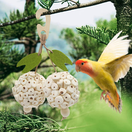 Parrot Chewing Ball Boredom Toy For Pet Bird Cage Playtime Mental Stimulation