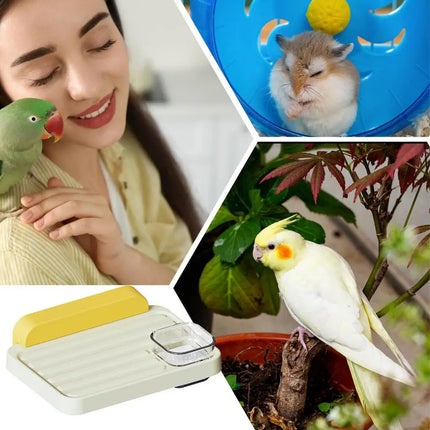 Bird Perch Stand Feeding Station Parrot Swing Platform Cage Accessories Toy