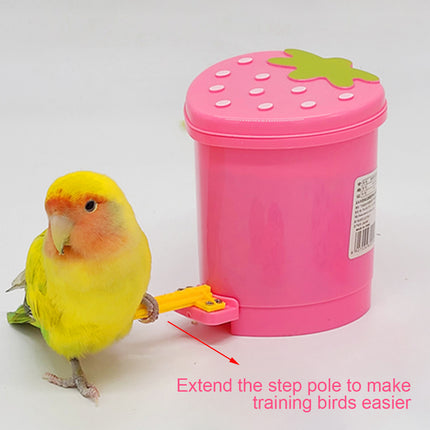 Parrot Educational Toys Bird Chew Toys Training Toy Colorful Interactive Playset